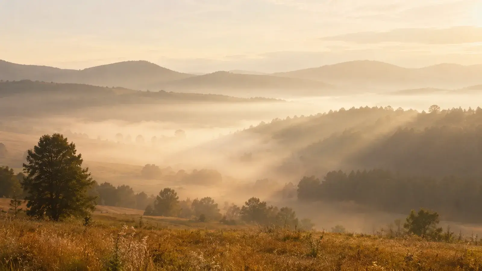 Sanftes Morgenlicht über einer nebligen Hügellandschaft – Sinnbild für Ruhe, Weite und Schwingung.